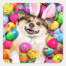Search for cute easter bunny stickers Funny