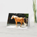 Search for palomino christmas cards Horse