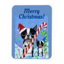 Recherche de sucres de canne magnets Chapeau santa