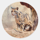 Search for leopard stickers Exotic
