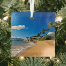 Search for maui ornaments Pacific ocean