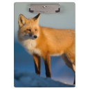 Recherche de renard porte blocs Faune