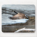 Search for picture taking electronics Wildlife