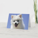 Search for eskimo cards Eskie puppy