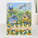 Search for bluebird cards Birdhouse