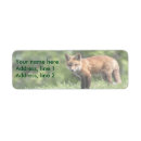 Search for red fox return address labels Wildlife