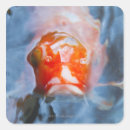 Search for koi carp stickers Outdoors
