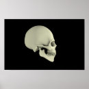 Recherche de anatomie de dents posters Os frontaux