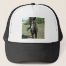 Recherche de tordu casquettes Animaux