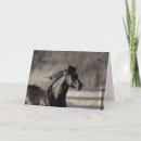 Search for bob cards Andalucian