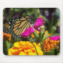 Search for marigold mousepads Nature