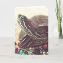 Search for turtle christmas cards Red