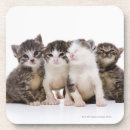 Recherche de chat japonais dessous de verres Chats