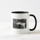 Recherche de otaries tasses Côte