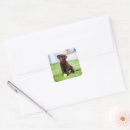 Search for play ball stickers Puppy