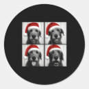 Search for funny dog stickers Snack