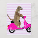 Search for pink deer postcards Flowers