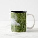 Search for lion picture mugs Africa
