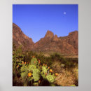 Recherche de lever de la lune posters Nature