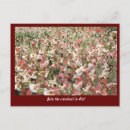 Recherche de de carnaval cartes postales Brésil