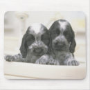 Search for bathroom mousepads Indoors