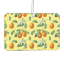 Recherche de fruits voiture accessoires Aquarelle