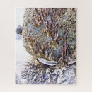 Recherche de algues puzzles Côte