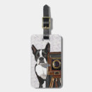 Recherche de terriers photographie Animaux