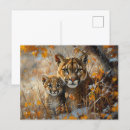 Recherche de cougar cartes postales Nature