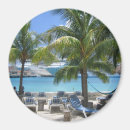 Recherche de cozumel magnete Palmiers