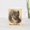 Search for keep in touch cards Kitten