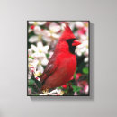 Recherche de cardinal painting canvas prints Roux