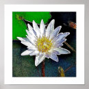 Recherche de lotus flower posters Bouddhiste