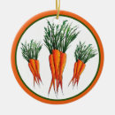 Search for vegetable ornaments Orange
