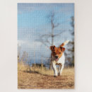 Search for jack russell puzzles Pets
