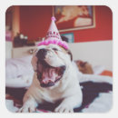Search for funny british stickers Animal