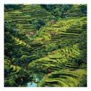 Search for vintage bali posters Paradise