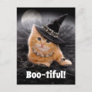 Search for cat humor invitations Witch