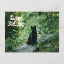 Search for cat dad birthday cards Black kitten