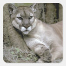 Search for florida panther stickers Endangered