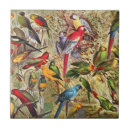 Search for bird tiles Macaw