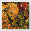 Recherche de citrouilles horloges Photographie