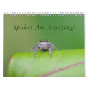 Search for spider calendars Arachnids