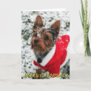 Search for yorkie christmas cards Snow