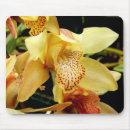 Search for pink orchid mousepads Tropical