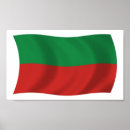 Search for sac posters Flag