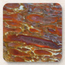 Search for fossil coasters Pattern