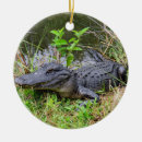 Search for alligator ornaments Wildlife