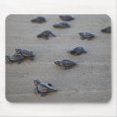 Search for central america mousepads El salvador