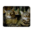 Recherche de unique de chat magnets Pour tous